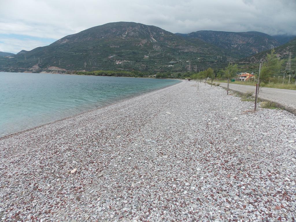 Paralia Sergoulas Hotel Theasis المظهر الخارجي الصورة